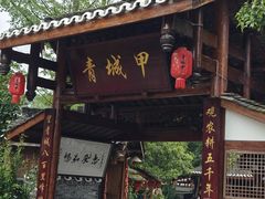 -青城甲(青城山店)