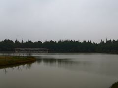 -上海海湾国家森林公园