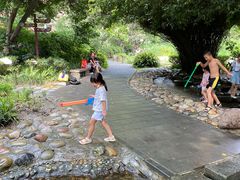 -成都市活水公园