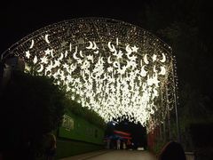 -潘师傅炸鸡(中央路店)