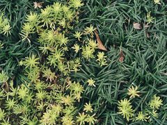 -成都杜甫草堂博物馆