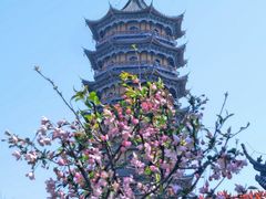 -葛仙湖公园