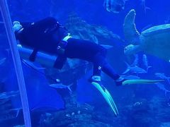 -多彩贵州城极地海洋世界