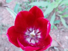 -长春公园(普阳街道)