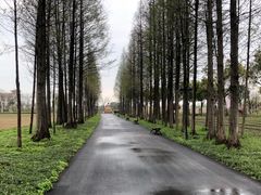 -歌斐颂巧克力小镇