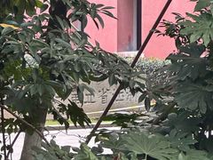 -浙江省杭州高级中学(贡院校区)