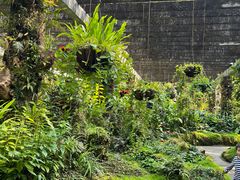 -深圳仙湖植物园-停车场