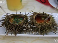 海胆-海岛渔村大酒店(云霄路店)