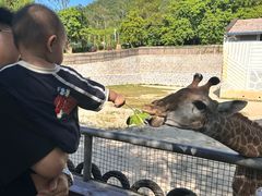 -泉州海丝野生动物世界
