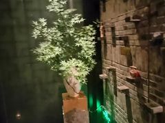 -green massage青籟养身(新天地店)
