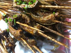 -晓靖轩烧烤(沙河风情店)
