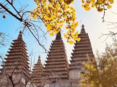 -北京石刻艺术博物馆(五塔寺)