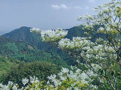 -午潮山国家森林公园