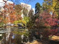 -北海道厅旧本厅舍(旧本庁舎)