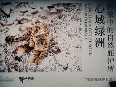 -中国湿地博物馆