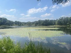 -承德避暑山庄景区