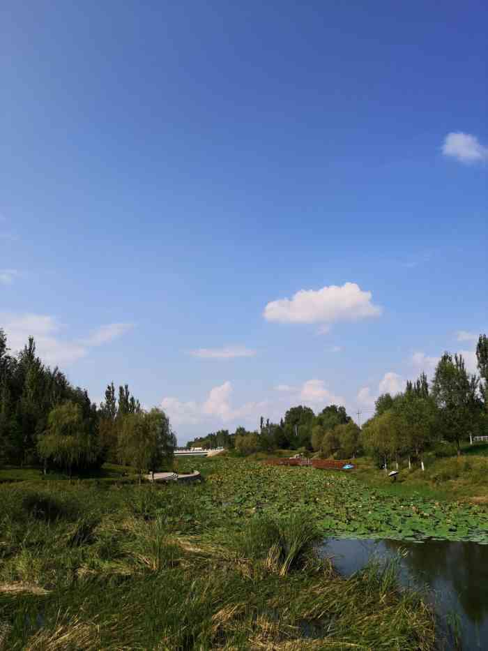 东埠头沟公园-"天天跑步去的一个公园,现在花花都开了,非.