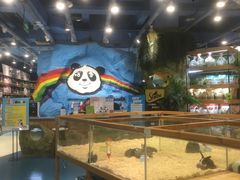 -龟与熊猫宠物公园(南坪店)