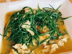 -敦煌达记酱驴肉黄面馆