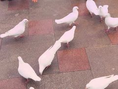 -国色天乡三期陆地乐园