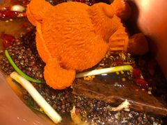 -重庆地瓜老火锅(广渠门店)