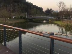 -飞凤山奥体公园
