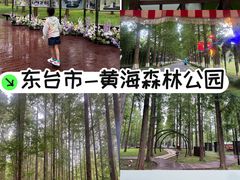 -黄海国家森林公园