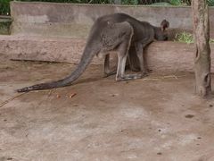 -重庆动物园·东二门售票处