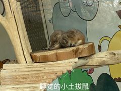 -大连森林动物园