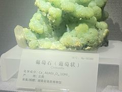 -湖南省地质博物馆