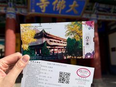 -张掖大佛寺景区