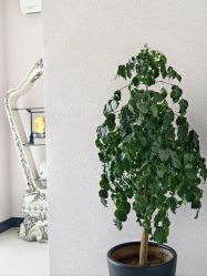 -悦润荟美容抗衰中心
