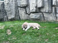 -北京野生动物园