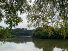 -深圳市中科院仙湖植物园