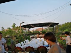 -阳光家常菜游客餐厅(千佛山店)
