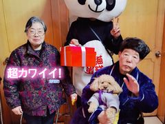 -熊猫不走蛋糕（同城送）(长沙店)