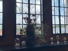 -滇野云南野生菌餐厅(陕西南路店)