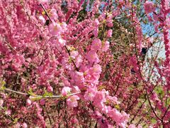 -长春公园(普阳街道)