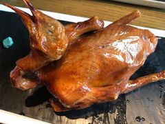 -大鸽饭(岗顶店)