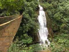 -云南屏边大围山国家公园