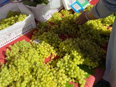 -三旗百汇商品城