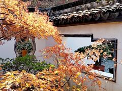 -上海醉白池公园