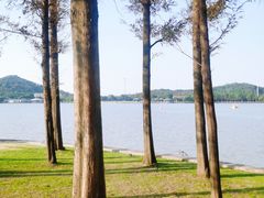 -上海月湖雕塑公园