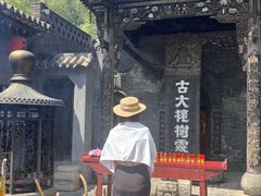 -大槐树寻根祭祖园