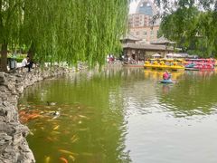 -团结湖公园
