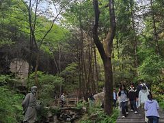 -王顺山国家森林公园
