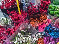 -循礼门鲜花花市(武汉循礼门店)