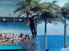 -海合安成都极地海洋公园