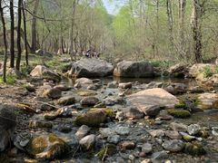 景点-玉渡山自然风景区