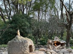 -上海野生动物园